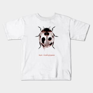 Ladybug Vintage Kids T-Shirt